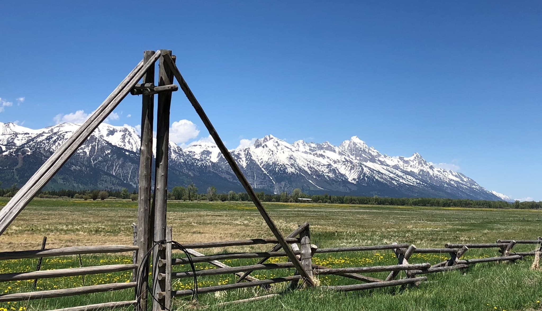 A weathered split-rail fence and wildflower meadow beneath the snow-capped Teton Range